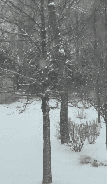 Highland Park, Illinois. Tras el paso de este sistema, se espera que las temperaturas desciendan.