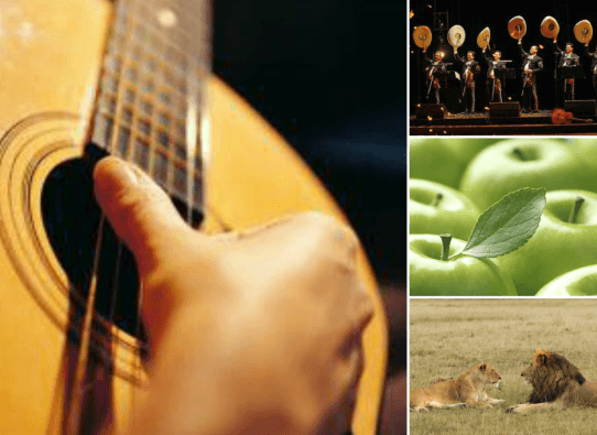 Conciertos de guitarra, circo, festivales, mariachi y mucho más este fin de semana