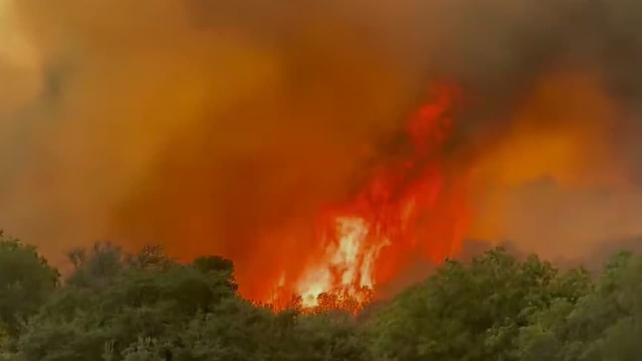 Consejos para prevenir incendios forestales en Texas en época de calor extremo