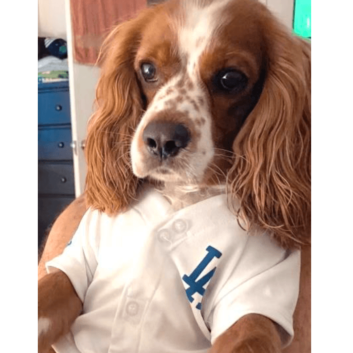 Oscar Dinarte compartió la foto de su mascota con la descripción "Sweet".