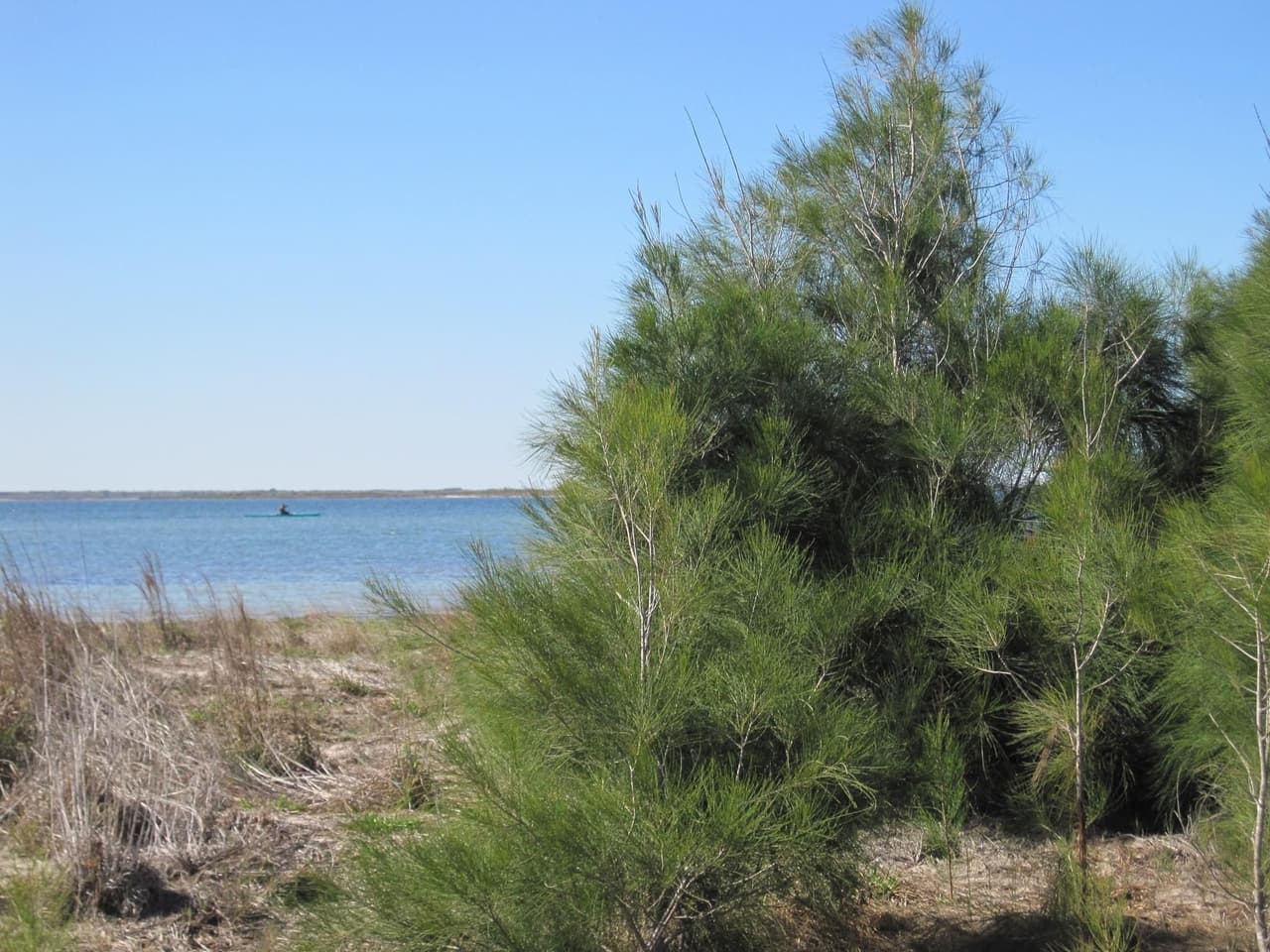 "Las personas, los animales e incluso los vehículos de patrulla de tortugas podrían resultar dañados debido al tamaño y profundidad de las estructuras que quedan en la playa. Cuando te vayas, asegúrate de dejar siempre la playa limpia, oscura, plana", lee la publicación.