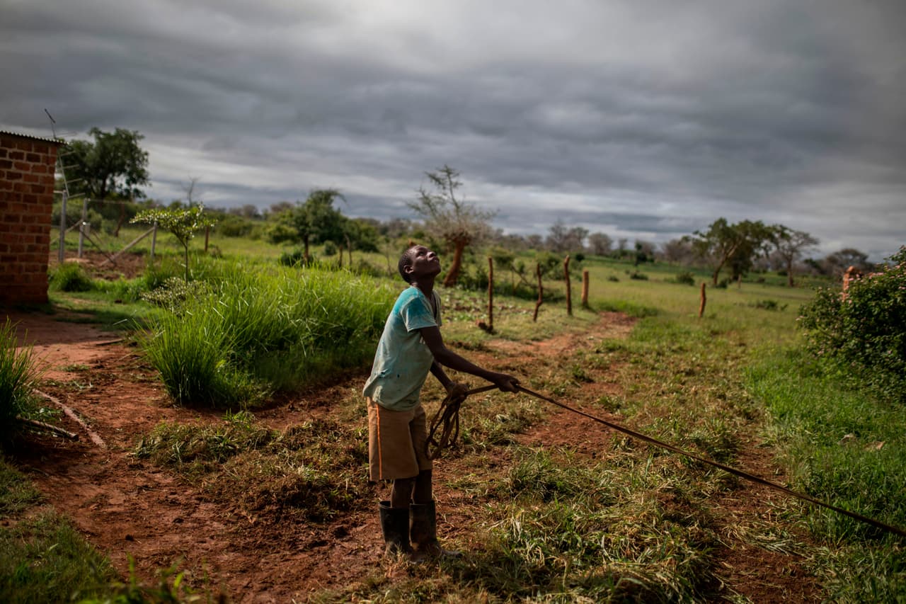 <h3 class="cms-H3-H3">25. Zimbabwe</h3>
<br>
<br>🌍 
<b>RNB per cápita:</b> $2,850
<br>
<br>🌍 
<b>Producto Interno Bruto 2020: </b>$16,800 millones.
<br>
<br>🌍 
<b>Esperanza de vida: </b>61.5 años.
<br>
<br>🌍 
<b>Población: </b>14.9 millones.
<br>