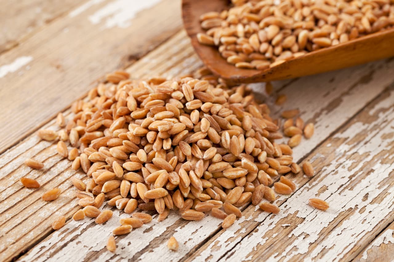 Farro. De origen italiano, tiene un aspecto similar al arroz integral, pero más chato, su textura es más gomosa y tiene un leve sabor a nuez.