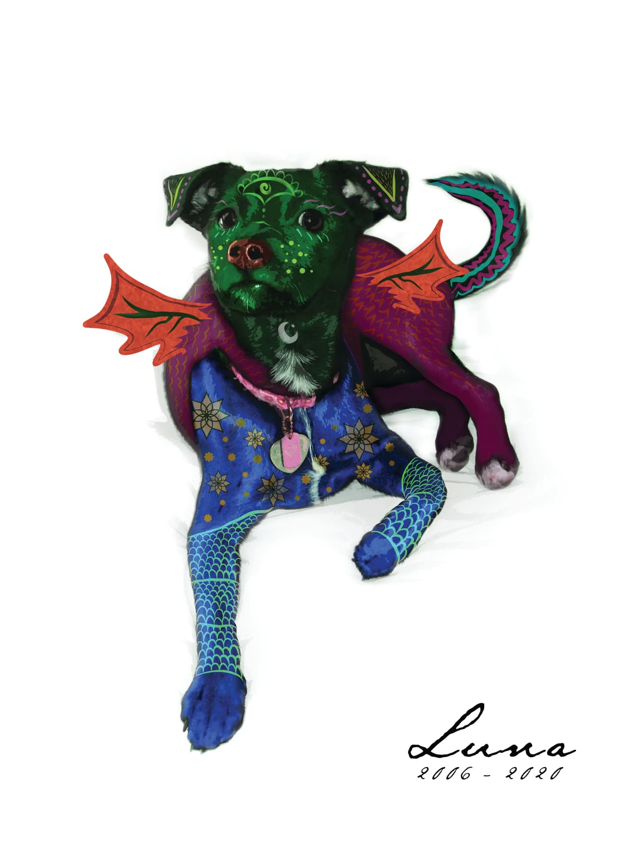 “Esta exposición nace con la idea de dar a conocer al diseño gráfico como una puerta más a la expresión artística. Estamos muy agradecidos con el cónsul Barceló Durazo por abrirnos las puertas y colaborar con nosotros para realizar esta exposición, que no solo nos permite mostrar la diversidad cultural y el amor que tenemos por nuestras raíces, sino también exponer al diseño gráfico en su máxima expresión como una forma de arte que no siempre es reconocida como tal.”, dijo María Rosa Zaragoza-Medina, organizadora del evento.