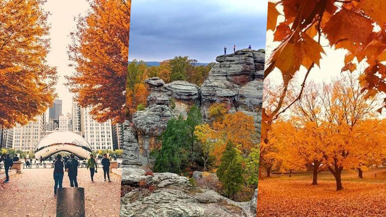 6 lugares para visitar durante el otoño en Chicago y alrededores