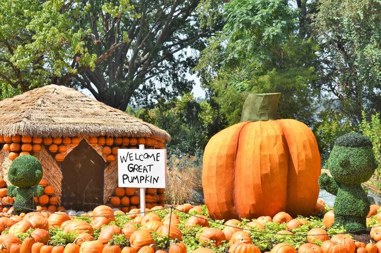 Este escenario te recibe en el Dallas Arboretum que se llena de calabazas, colores anaranjados y café para dar la bienvenida y disfrutar del otoño. La exhibición de este año se llama It’s the Great Pumpkin, Charlie Brown.