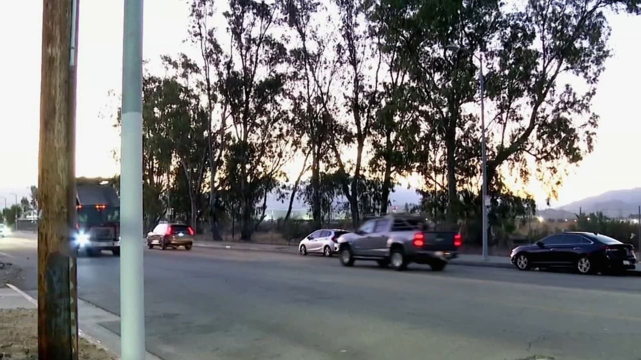 Impacto mortal en Los Ángeles: Madre de cinco hijos muere frente a la mirada de su pareja