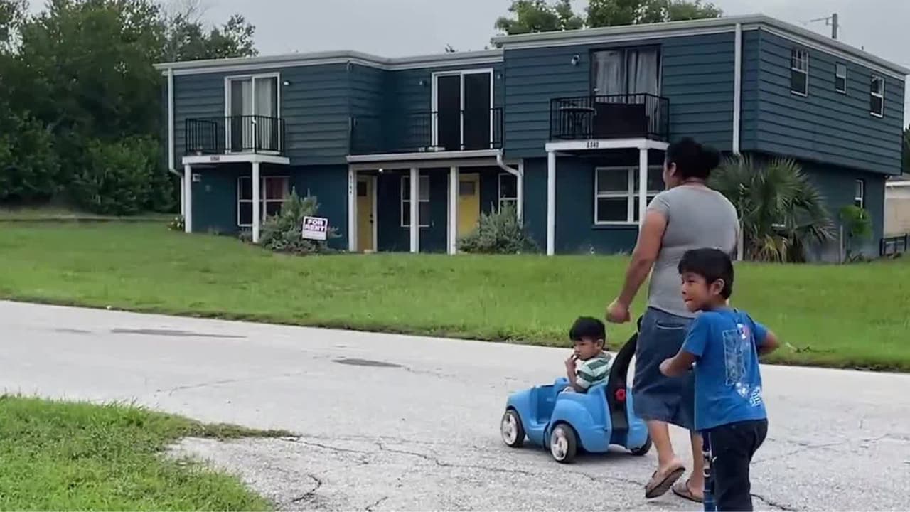 Atropellan a niña de 11 años en New Port Richey; conductor se da a la fuga