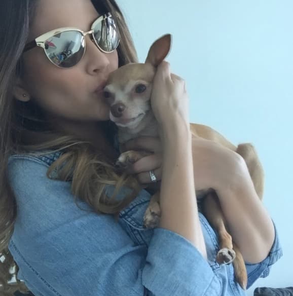 Después del nacimiento de Giulietta, Ana decidió que Honey debía llevar una vida más tranquila.