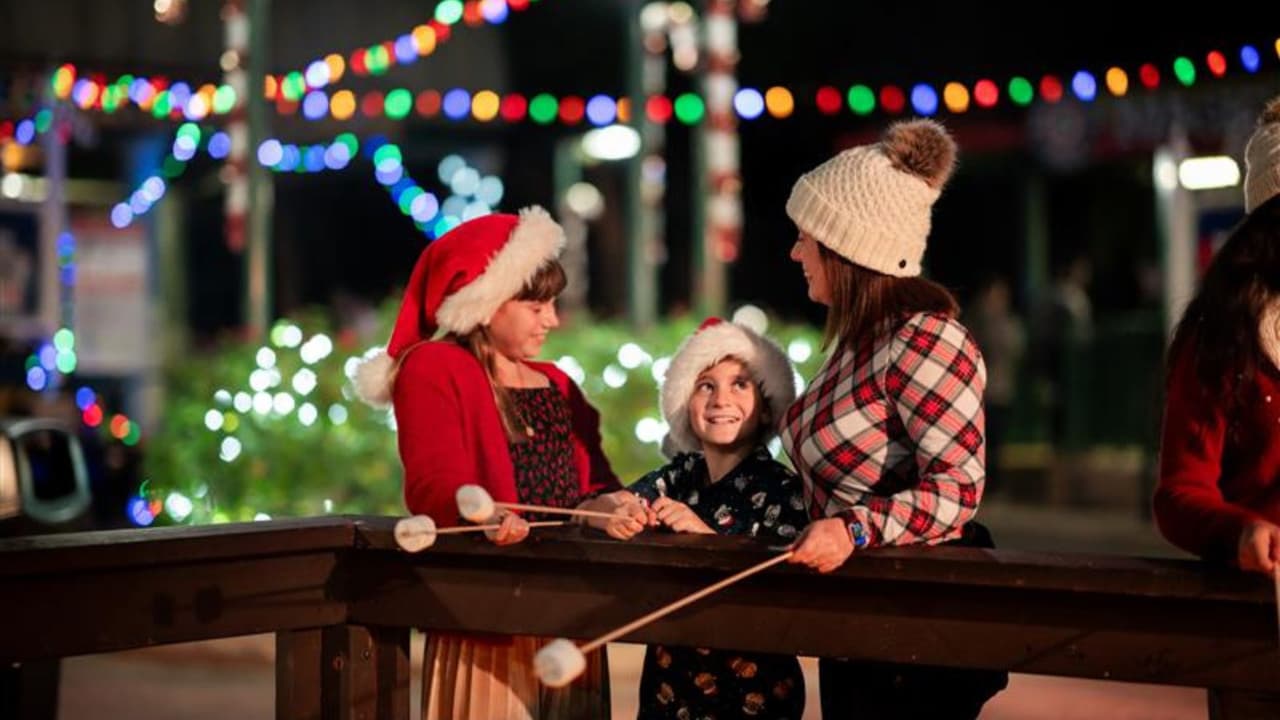 <h3 class="cms-H3-H3">Para familias con niños</h3> Santa tendrá su taller para fotos. Mrs. Claus contará cuentos y supervisará
<b> una zona donde los niños pueden decorar galletas, con paquetes disponibles para compra</b>. El menú incluirá bebidas y platillos que solo se sirven en estas fechas, 
<b>como chocolate caliente, churros y alitas. </b>También habrá bebidas calientes y frías con y sin alcohol. Para algunos visitantes habituales, subir a los rides rodeados de luces 
<b>se ha convertido en uno de los rituales más constantes del evento.</b> El parque indicó que Holiday in the Park operará en fechas seleccionadas del 23 de noviembre al 4 de enero. Para horarios y precios actualizados, la recomendación es revisar 
<a href="https://sixflags.com/" target="_blank">sixflags.com</a>, ya que la disponibilidad cambia.