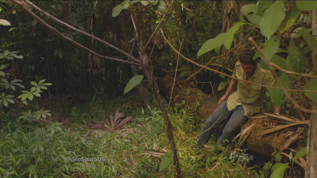 En tanto... Damian se pierde en el bosque.