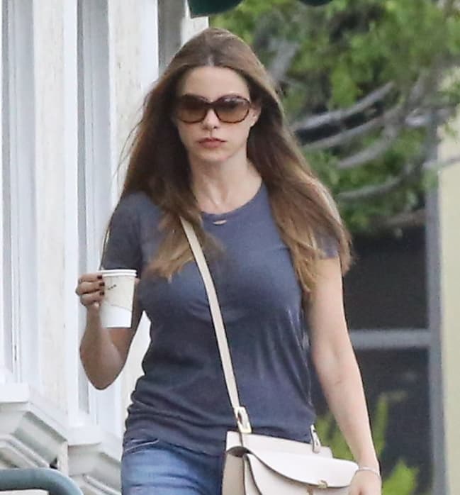 En otras cosas, hace unos días Vergara reveló que odia envejecer.