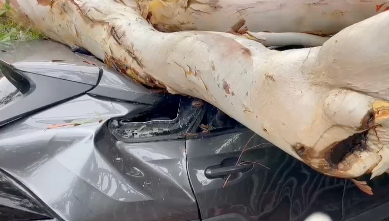 Despertar y ver que uno o tal vez dos de sus autos están así. Fue la realidad para una familia hispana en Sun Valley.