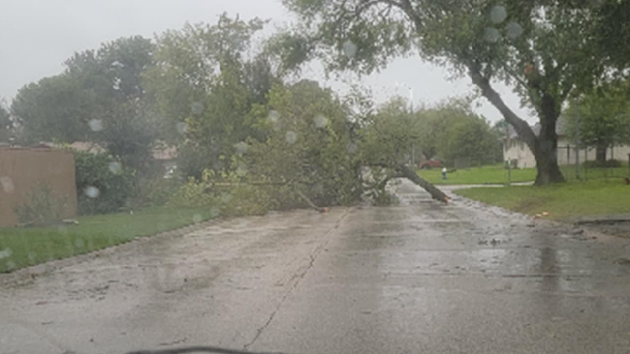 Juan Garcia - captó esta imagen en Gulfbank y Rutherford y la compartió con 
<b><a href="https://www.univision.com/local/houston-kxln/">Univision 45</a></b> a través de 
<b><a href="https://www.univision.com/local/houston-kxln/reportalo-houston-la-nueva-herramienta-para-informar-a-la-comunidad-video">Repórtalo Houston.</a></b>