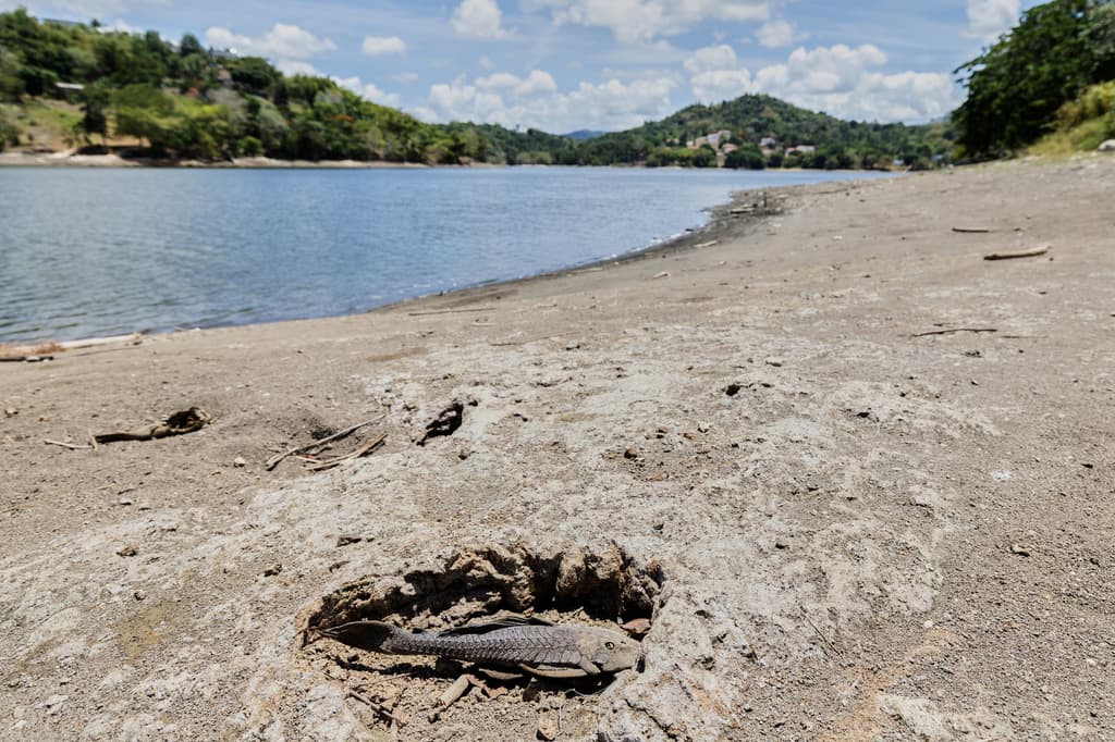 Puerto Rico impone medidas de racionamiento de agua por sequía récord