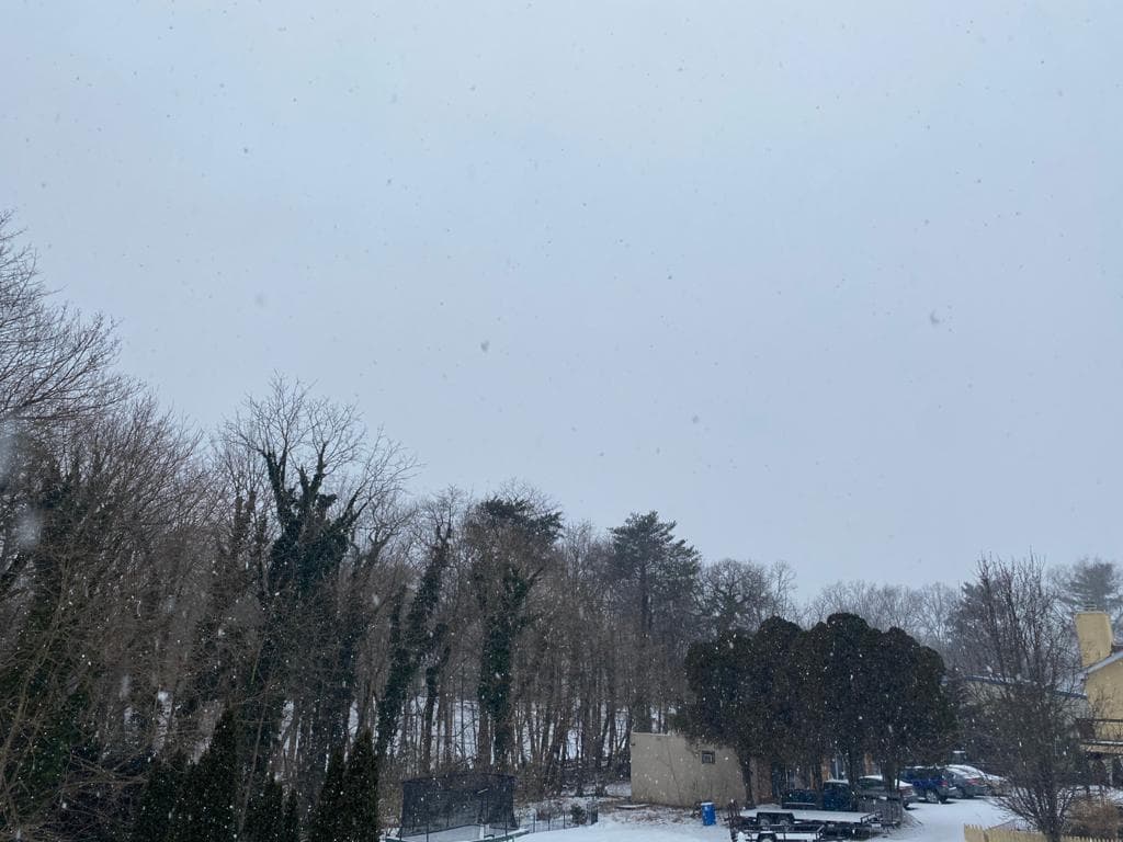 El panorama invernal tiene un encanto único y especial.