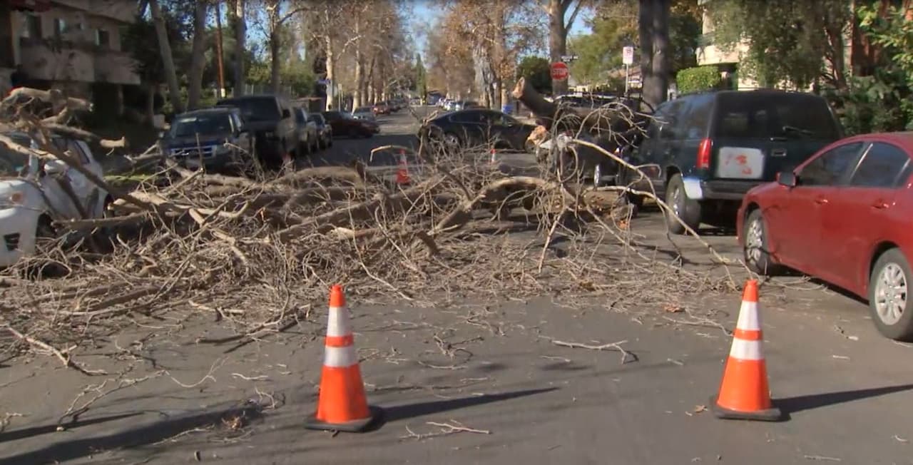 La ramas también quedaron atravesadas en plana calle, bloqueando el paso por la vía principal.