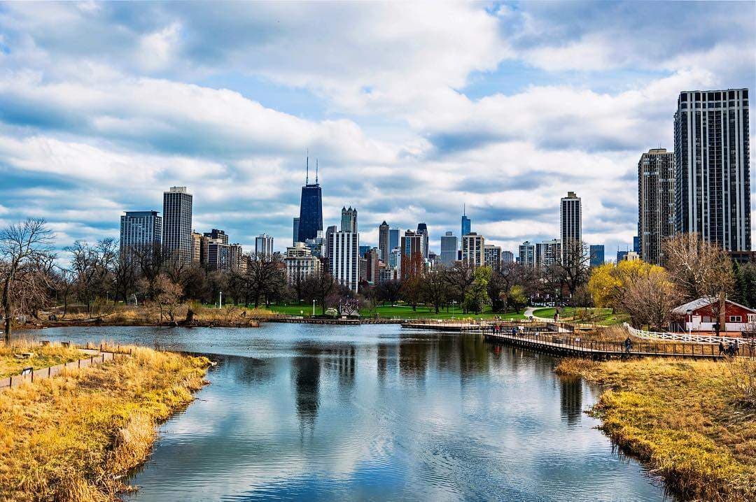 El Informe anual de color de otoño se actualiza semanalmente, ofreciendo a los residentes de Illinois y a los visitantes una visión en tiempo real de dónde detectar el follaje de otoño en las cuatro regiones de Illinois.