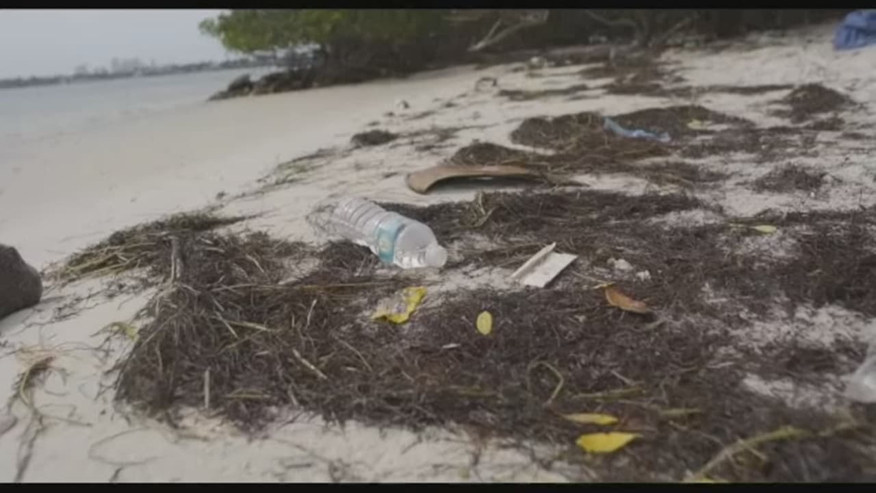 Piénselo dos veces antes de contaminar el medioambiente: el condado Miami-Dade aumenta sus multas
