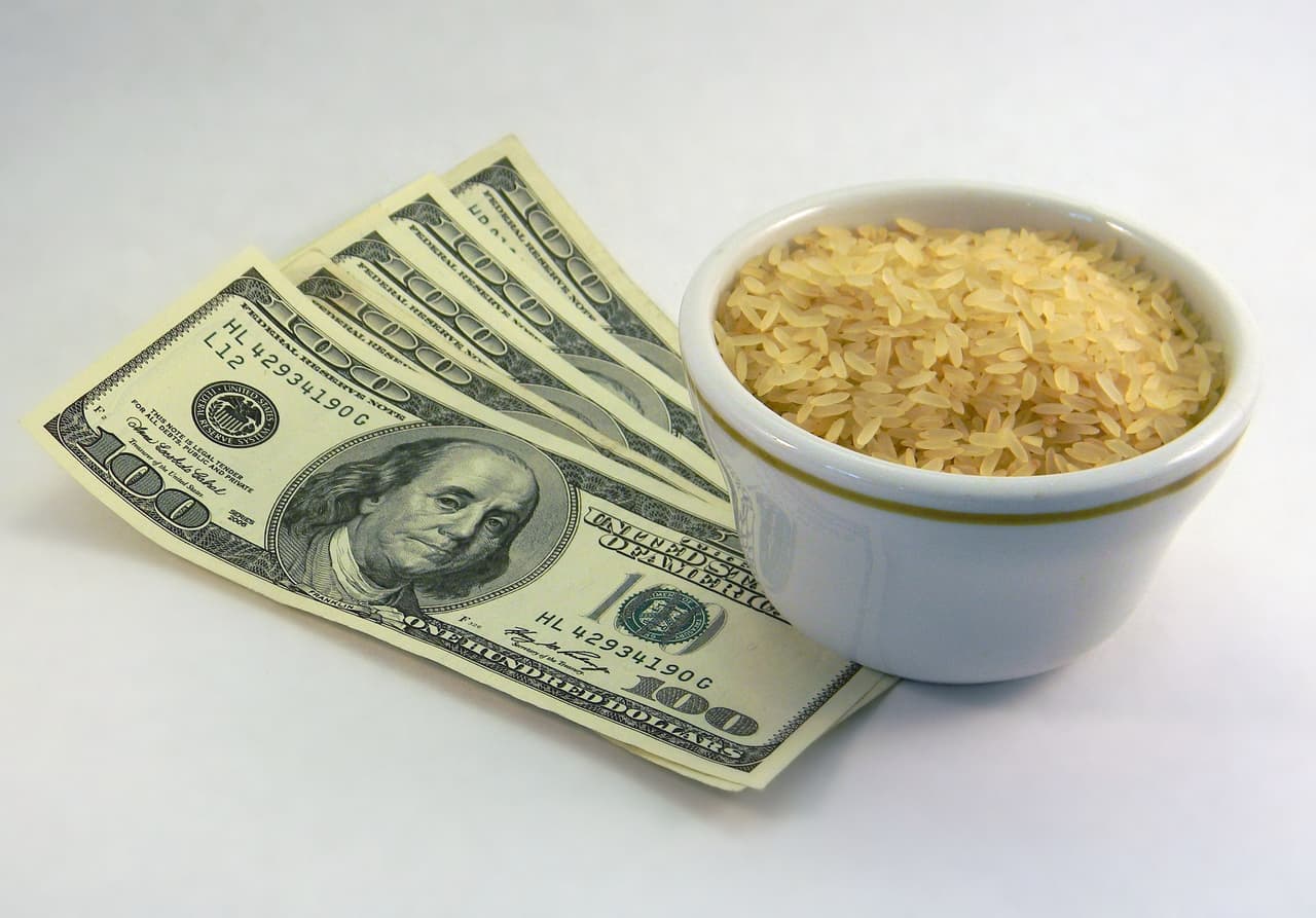 Para este 2023, atrae la prosperidad y el dinero a tu vida con este sencillo ingrediente que tienes en tu cocina