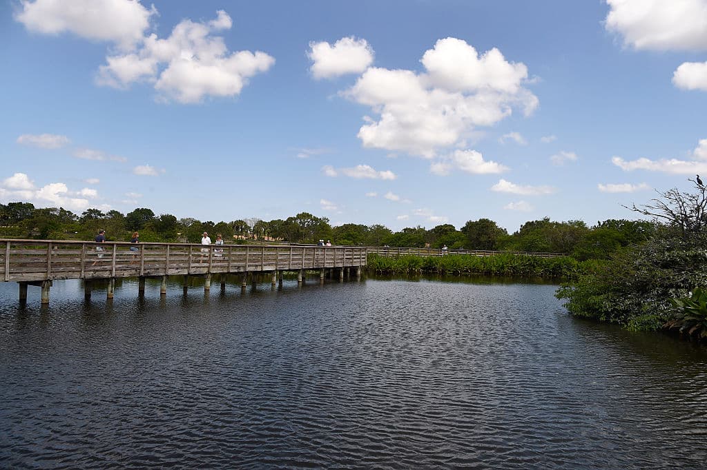 Aprueban más químicos en las aguas de Florida