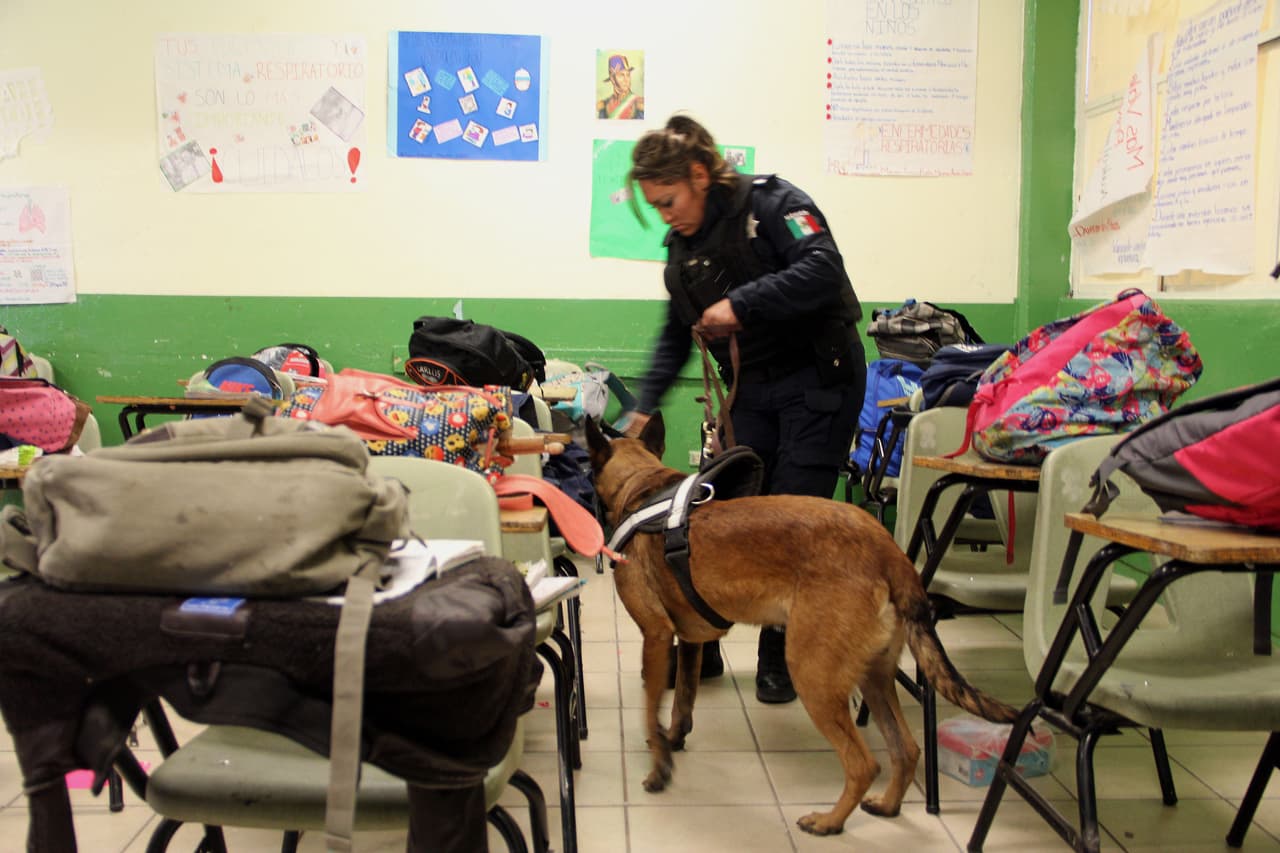 Durante las primeras semanas de ejecución del programa, los oficiales han encontrado pistolas, revólveres, armas de diábolos, navajas, tasers eléctricos, marihuana.