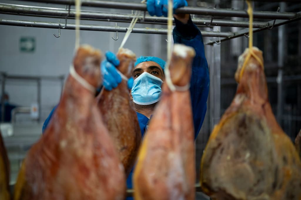 Cómo los trabajadores inmigrantes impulsaron el crecimiento de la economía de España por encima de las de EEUU y Europa