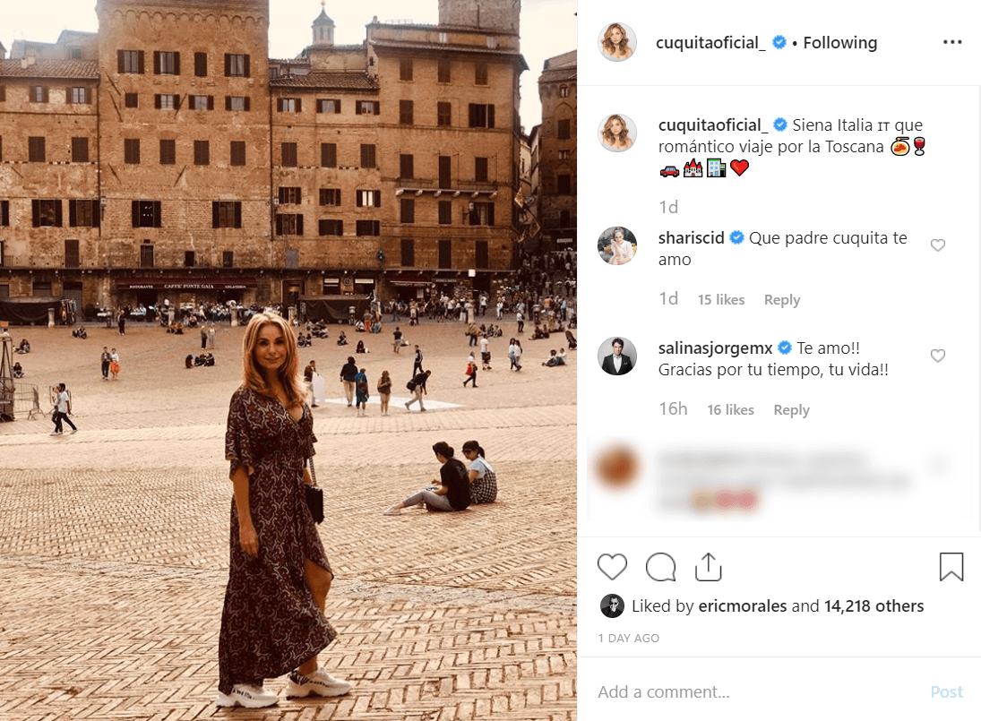 Además, le dedicó mensajes románticos a su esposo en cada una de ellas.