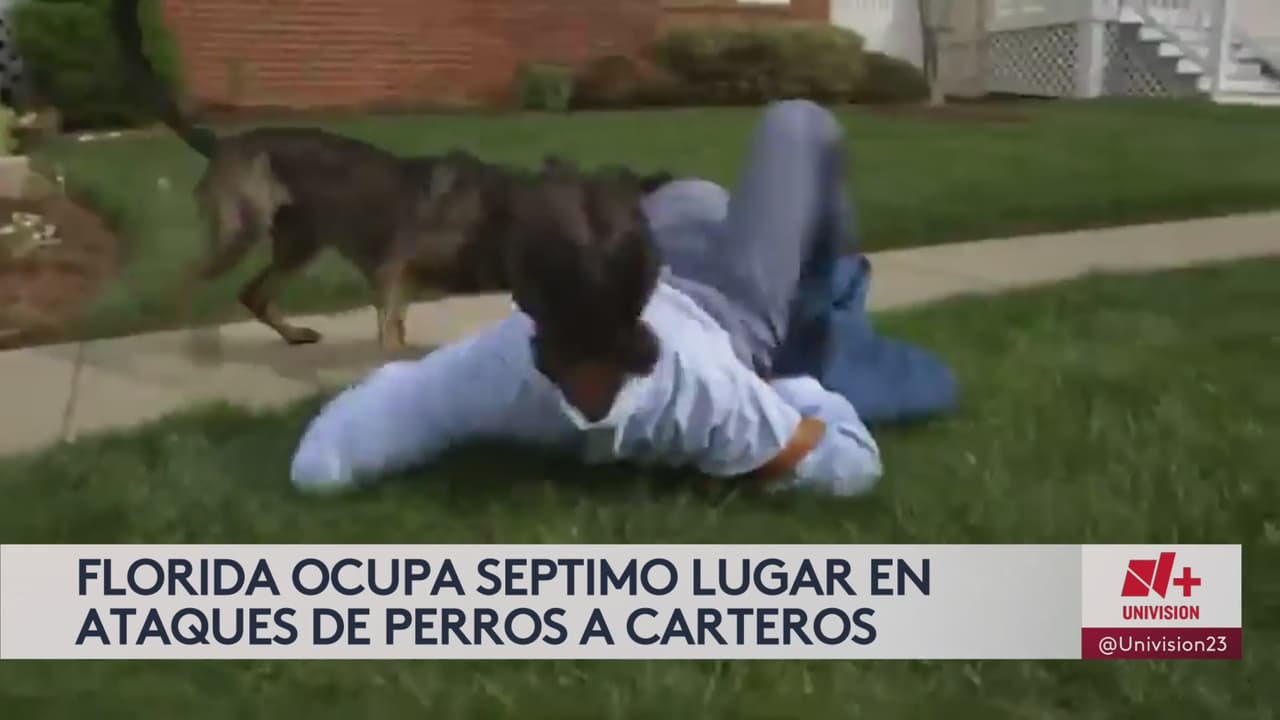 Florida es el estado que ocupa el séptimo lugar en ataques de perros a carteros