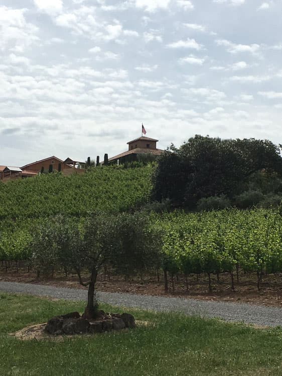 Especialmente en Tijuana, Baja California.