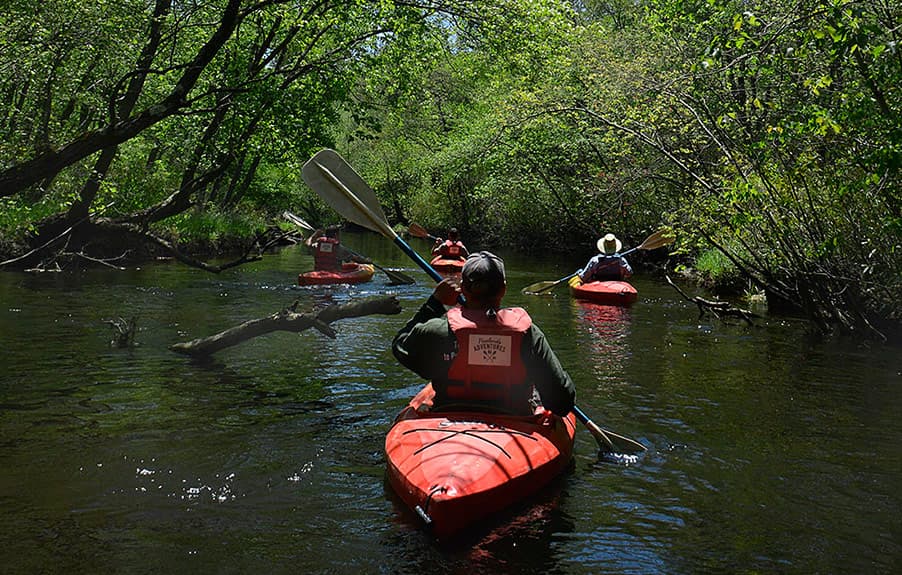 Ya sea que desee salir al agua durante dos horas u ocho, lugares como Mick's Canoe Rental organizan rutas que lo llevarán a lo largo de los ríos Wading y Oswego de la zona, pasando por los marcadores coloniales y a través de muchos paisajes naturales serenos en el camino.
<br>
<br>📍 Alquiler de canoas de Mick, 3107 Ruta 563, Chatsworth, N.J.
<br>💲 Las tarifas varían según el paquete
<br>