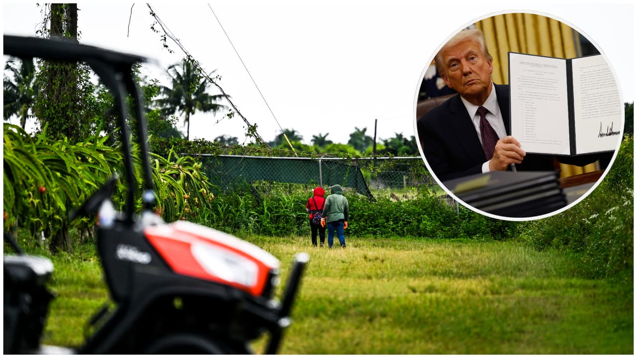 “Mis hijos no quieren ir a la escuela”: miedo entre agricultores del sur de Florida por deportaciones