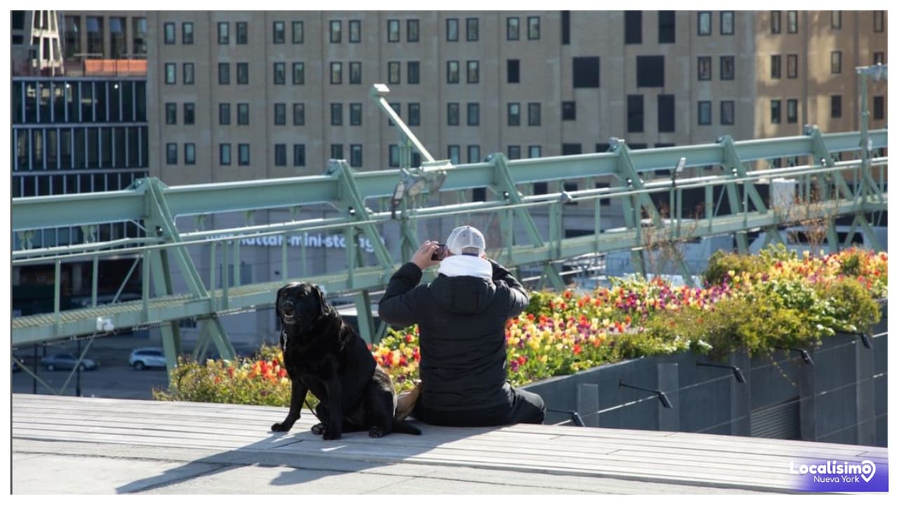 El parque en una azotea más nuevo y grande de NYC, Hudson River Park's Pier 57, ya está abierto al público, ofreciendo impresionantes vistas y jardines abiertos.
