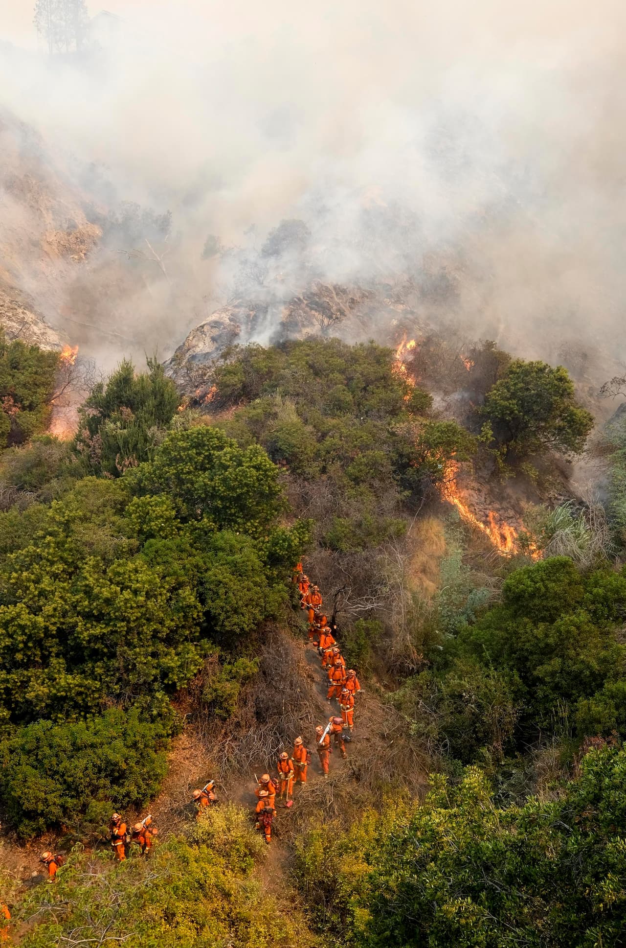 Fila de bomberos de Cal Fire en una ladera de Burbank.