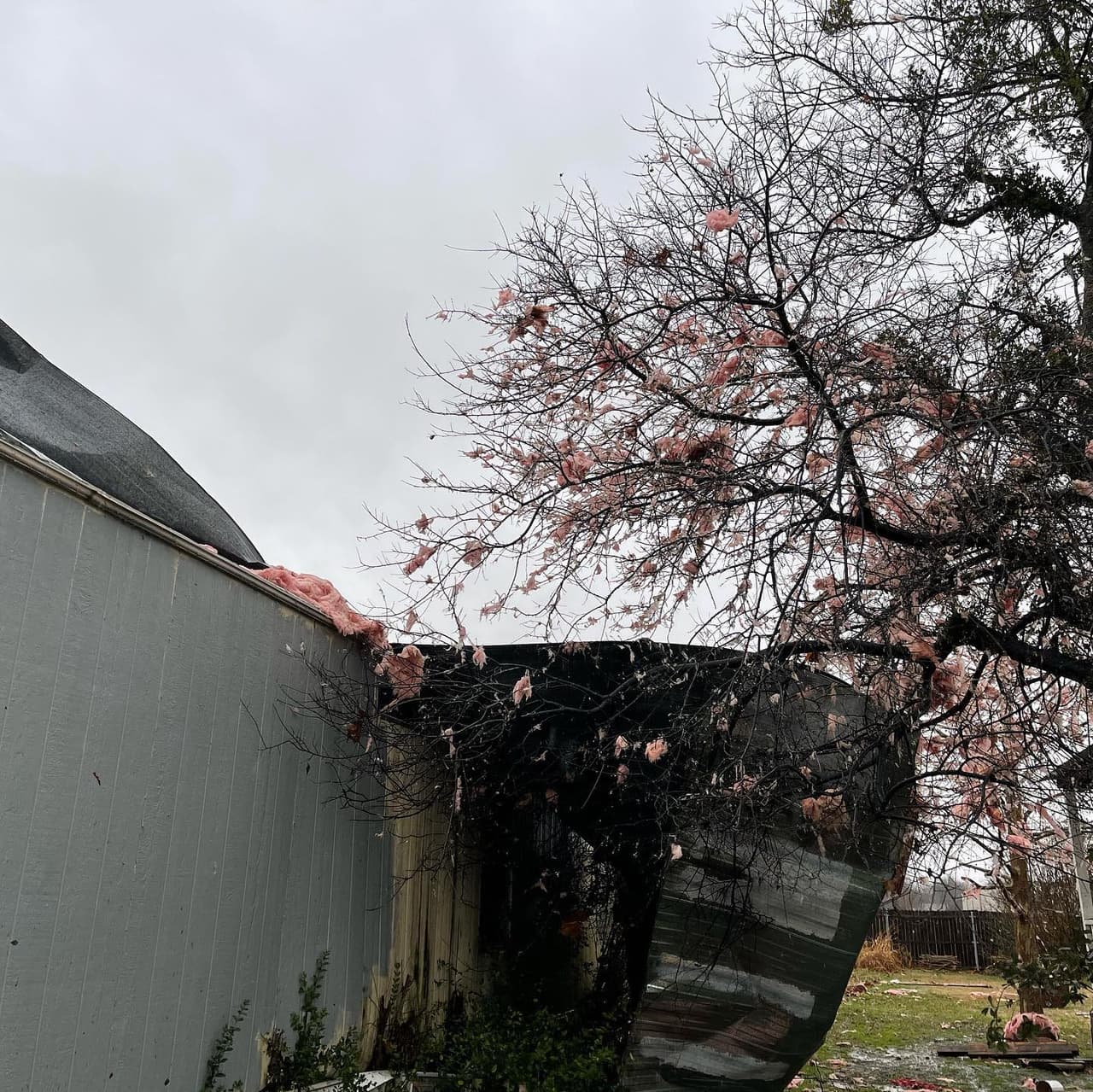 Tendremos todos los detalles en nuestro noticiero de las 5 pm.