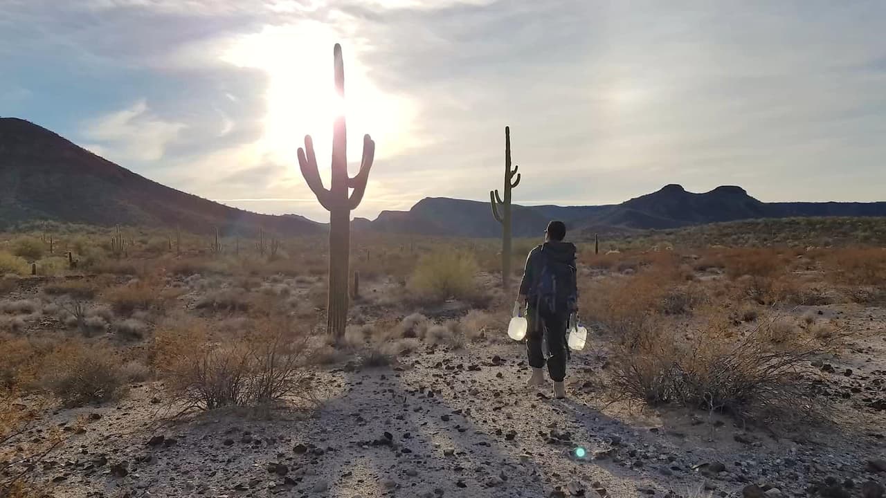 Autoridades de México hallan 229 indocumentados que esperaban cruzar a EEUU (109 son menores de edad)