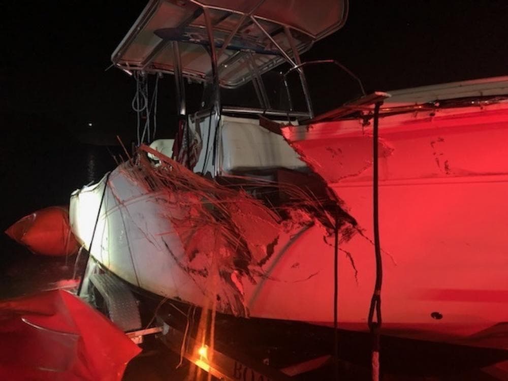 Hallan restos humanos cerca de donde un hombre cayó al agua tras chocar dos botes en Key Biscayne el lunes pasado