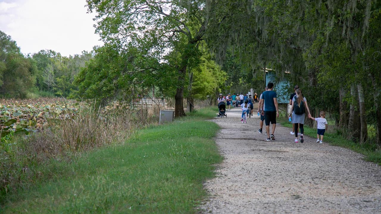 El parque estatal Brazos Bend está ubicado al sureste de 
<a href="https://www.univision.com/temas/texas">Texas</a>, a poco más de 45 millas de 
<a href="https://www.univision.com/temas/houston">Houston</a>. Está abierto todos los días de 8 am a 10 pm. La entrada para los mayores de 13 años cuesta 7 dólares, pero se puede comprar el pase anual de Texas Parks & Wildlife Department que da acceso a todos lo parques tantas veces como quieran las familias y sale mucho más barato.
