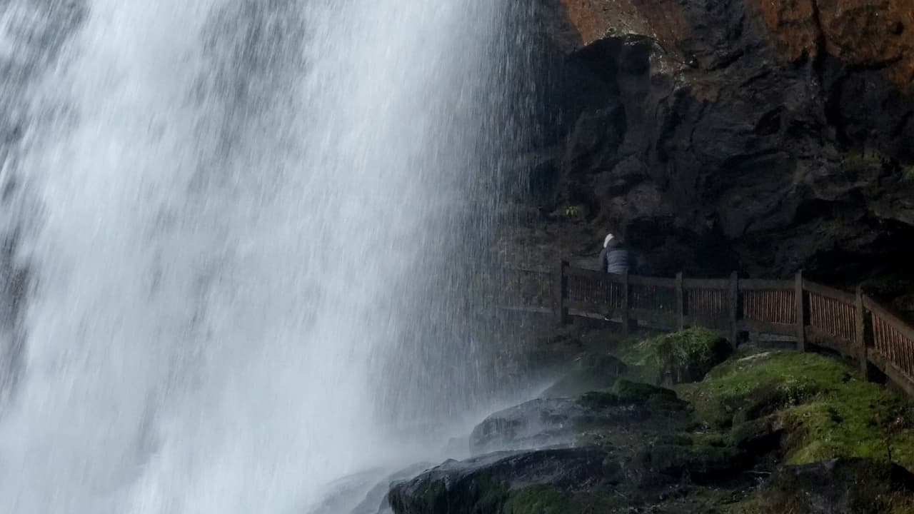 Conoce más sobre Dry Falls, 
<b><a href="https://www.fs.usda.gov/recarea/nfsnc/recarea/?recid=48684">aquí</a></b>.