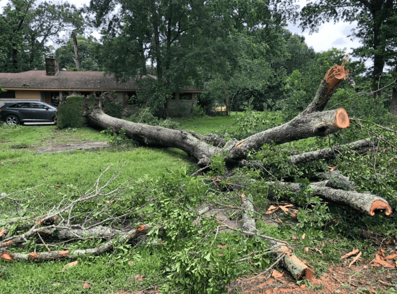 Los fuertes vientos y las lluvias dejaron inundaciones y árboles caídos en algunas zonas de la ciudad.