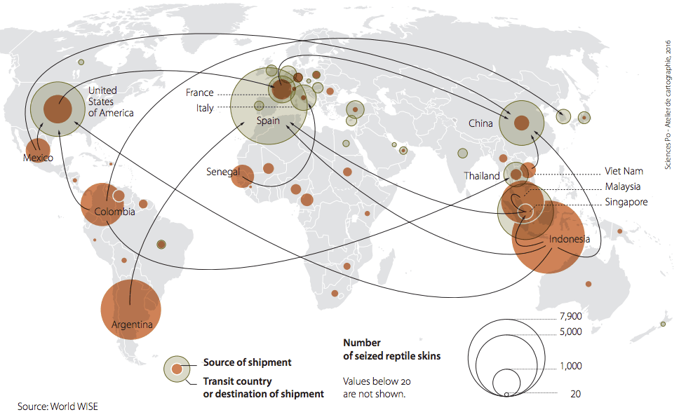 Las regiones con más incautaciones de reptiles son América Latina y Sudeste Asiático. Este mismo año, la UICN estimó que el 30% de las exportaciones de caimán de Colombia proceden del mundo salvaje. El mapa muestra los flujos de reptiles incautados entre 2005 y 2014 (en marrón, el origen de los envíos requisados).