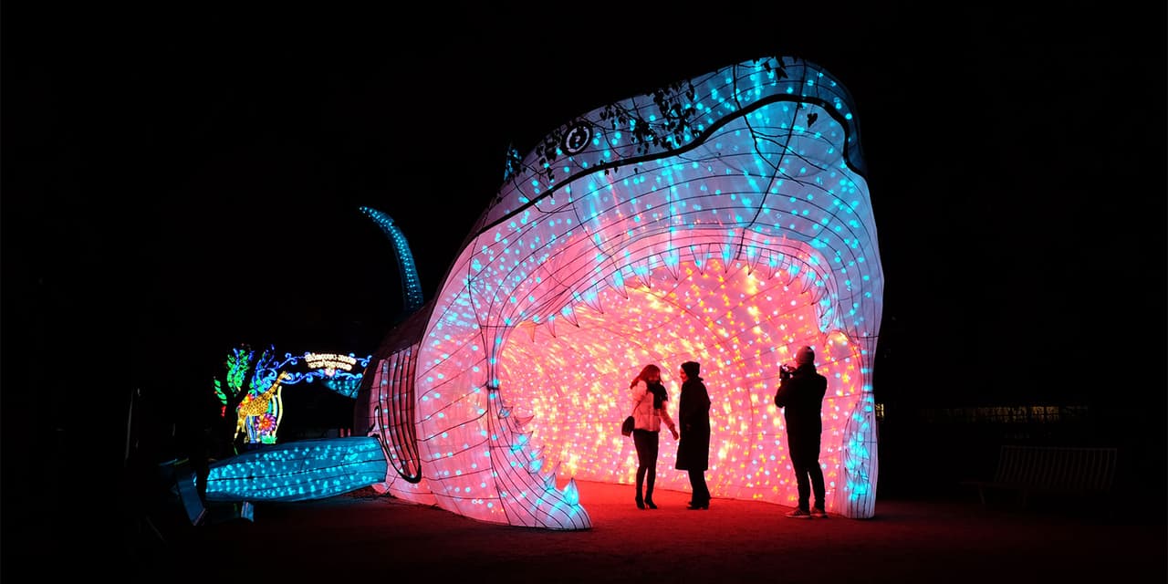 <b>Moonlight Forest</b>
<br>Catalogado como una de las mejores atracciones de la temporada en California, '
<a href="https://www.univision.com/local/los-angeles-kmex/las-espectaculares-luces-de-moonlight-forest-que-solo-veras-en-california-fotos">Moonlight Forest</a>' es el festival de linterna chinas 'Moonlight Forest' llegó Los Angeles County Arboretum and Botanic Garden in Los Angeles en la ciudad de Arcadia, California.