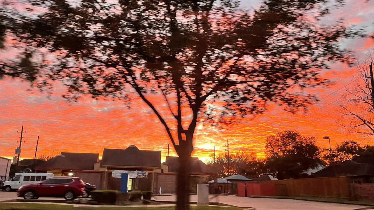 Otra imágen de Laura Castaño