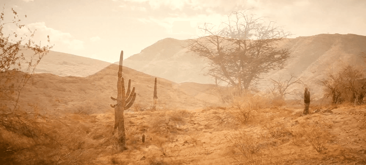 Fue a principios de este año cuando 
<b>Aguida Vásquez, una joven guatemalteca de 24 años</b>, tomó una de las decisiones más duras: dejar su natal Concepción Tutuapa, con todo y su embarazo de alrededor de cuatro meses, y se dirigió a la frontera.