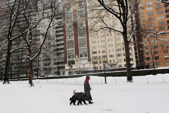 El reporte del Servicio Nacional del Clima señaló nieve en 49 de los 50 estados siendo el único excluido, Florida.