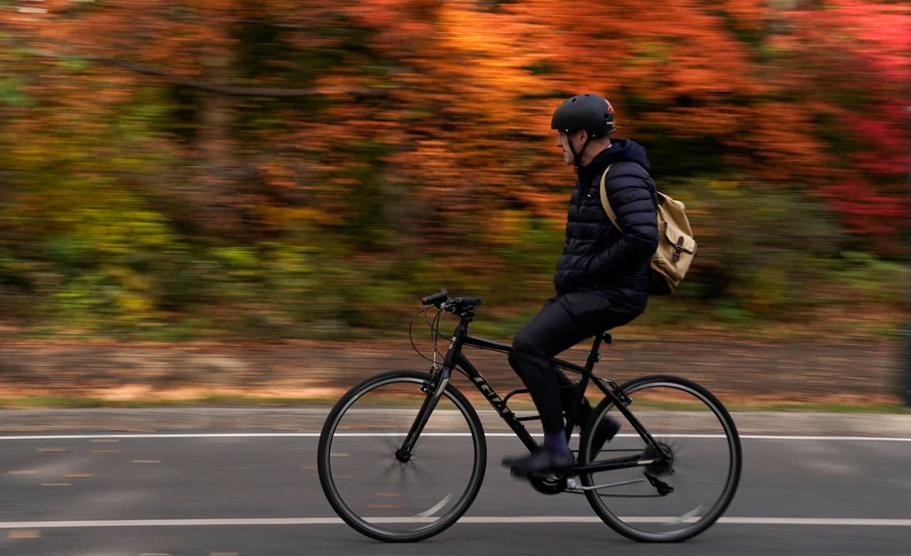 Temperaturas, luz solar y precipitación son los principales factores que influencian el cambio de color de las hojas.