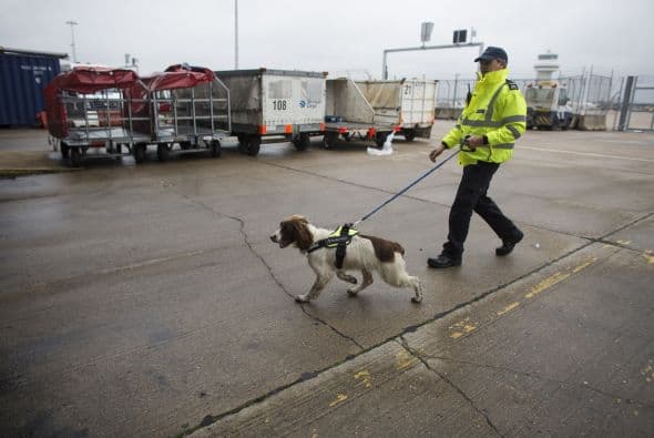La fuerza fronteriza de Reino Unido es parte del ‘Home Office’ el departamento ministerial que se hace cargo de la seguridad, migración y leyes del país.