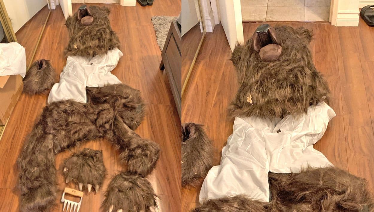 Arrestan a sospechosos en California tras usar un disfraz de oso para estafar 142 mil dólares 