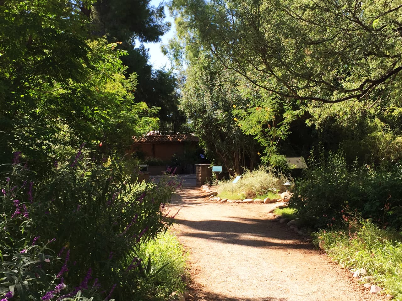 Jardines, color y arte en la exhibición de Frida Kahlo en Tucson