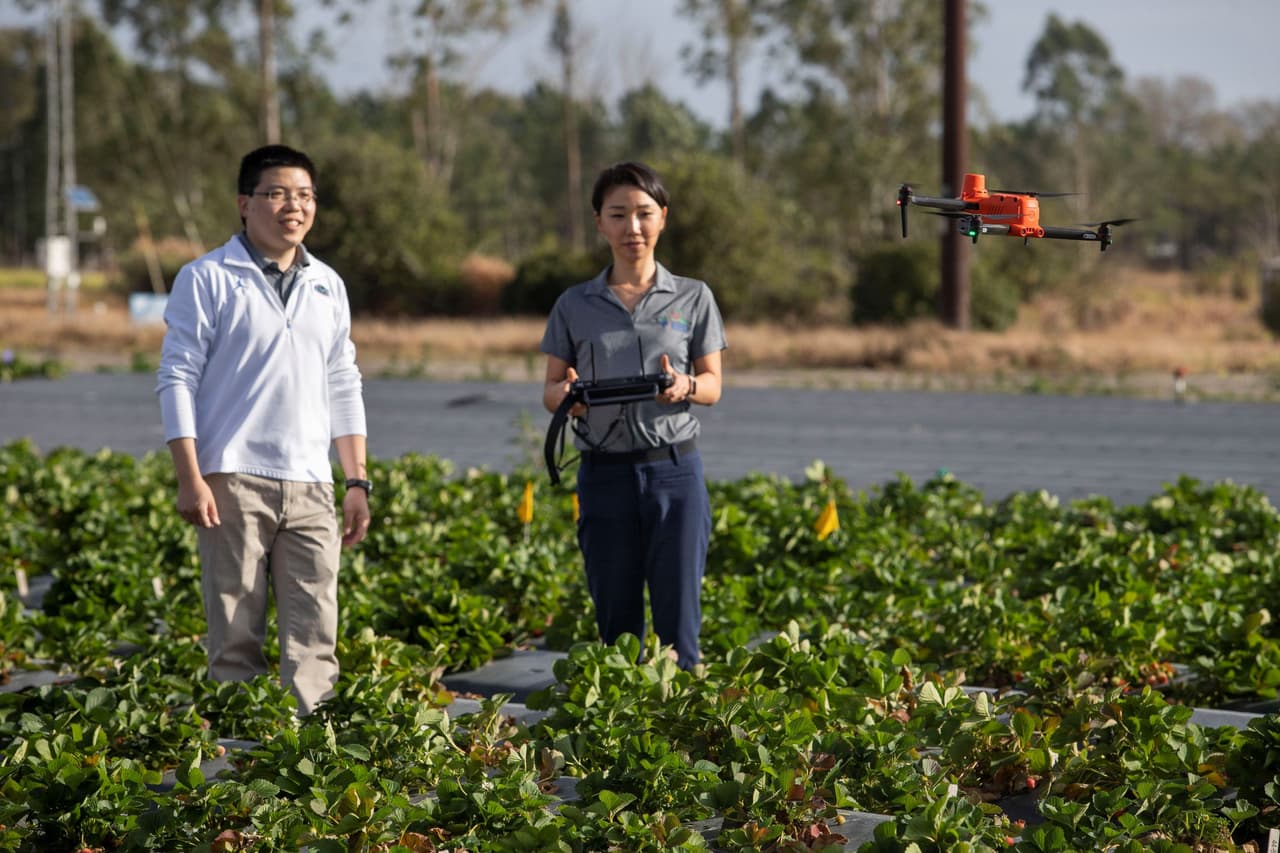  Programa de mejoramiento vegetal tendrá nueva sede en Universidad de Florida 
